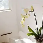Couette-café Il Sogno 4*