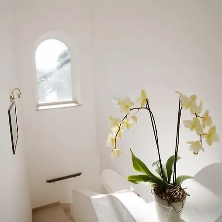 Acomodação com café da manhã  Il Sogno Anacapri (Isola di Capri)