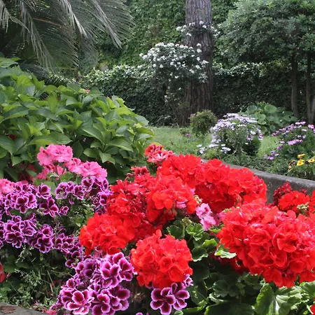 Il Sogno Ανακάπρι