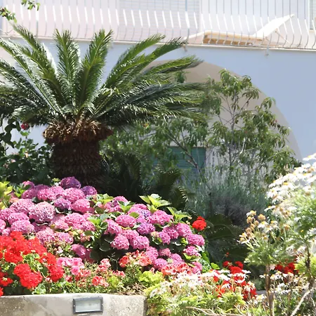 Il Sogno Ανακάπρι