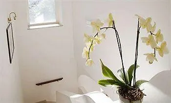 Couette-café Il Sogno 4*